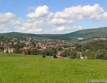 Harzhoernchen Und Harzkind, 2 In Einem Haus Appartement *