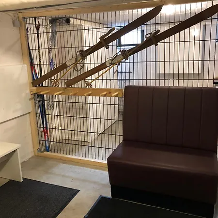 Harzhoernchen Und Harzkind, 2 In Einem Haus * Braunlage